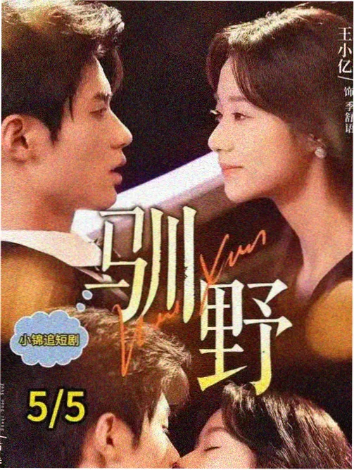 都市婚恋篇更新封面